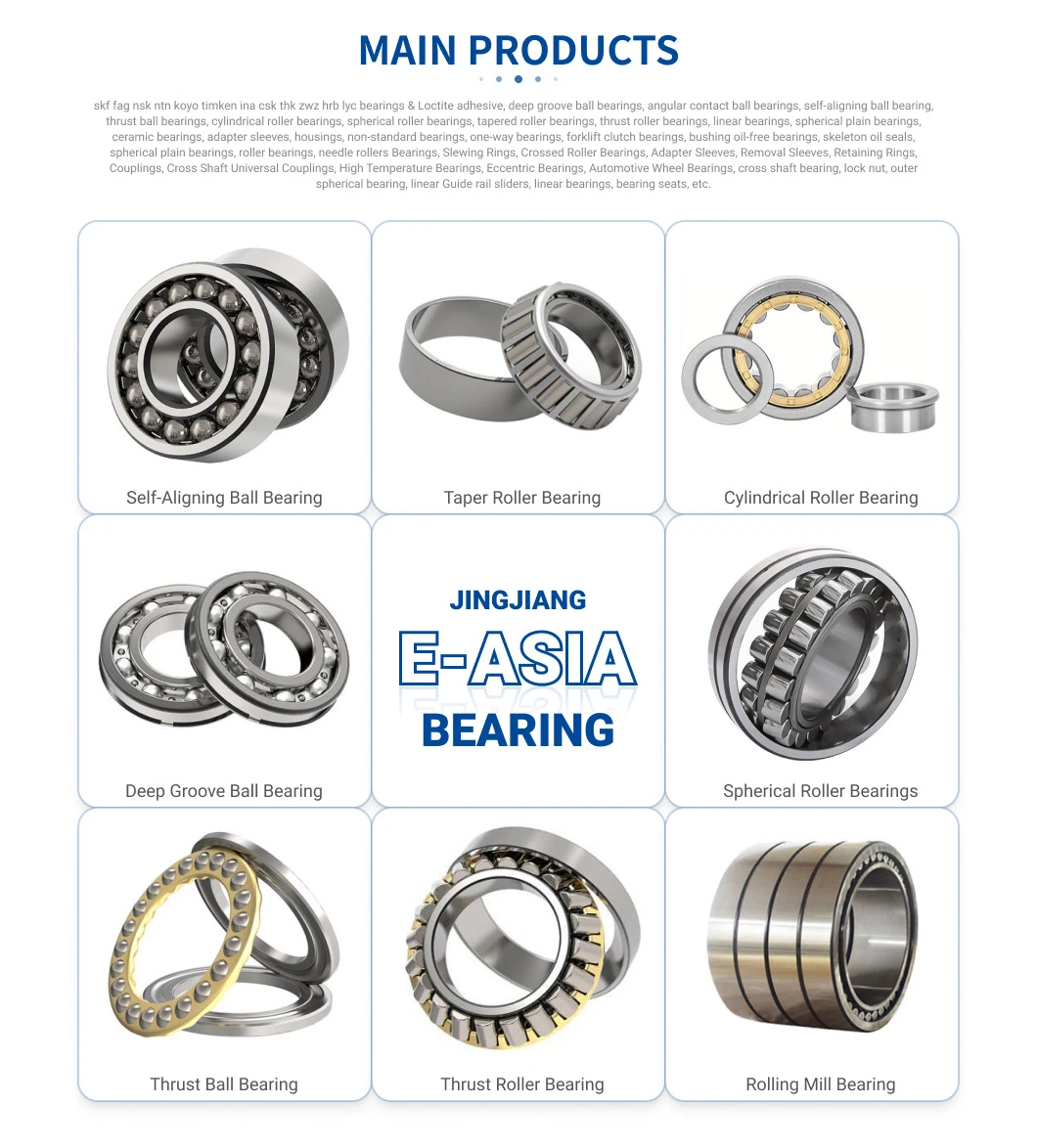 Ll 10X19X5 mm (dxdxb) China High Precision Angular Contact Ball Bearing 71800 Acd/Hcp4 Single or Double Row